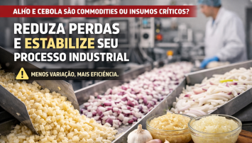 Como a padronização do alho e cebola é decisiva para a eficiência industrial